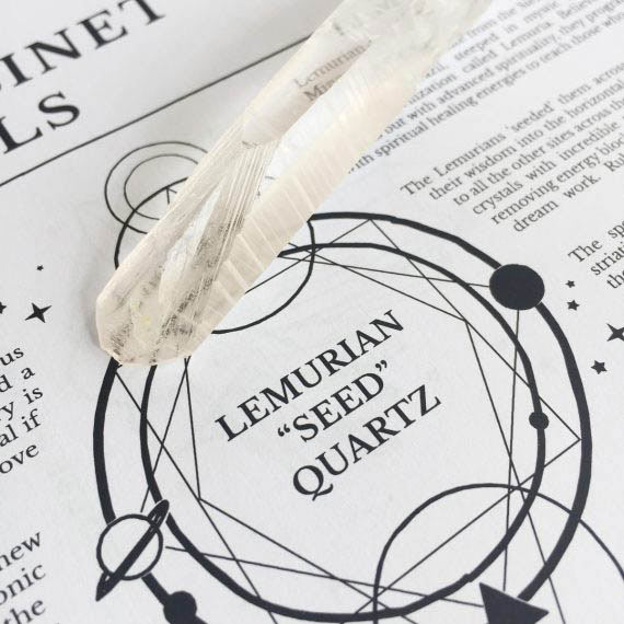 House of Formlab Clear Lemurian 03