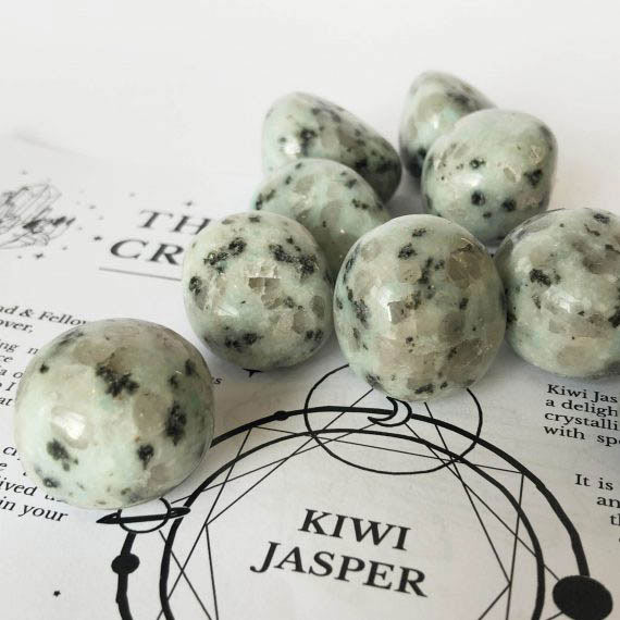 House_Of_Formlab_Kiwi_Jasper_02