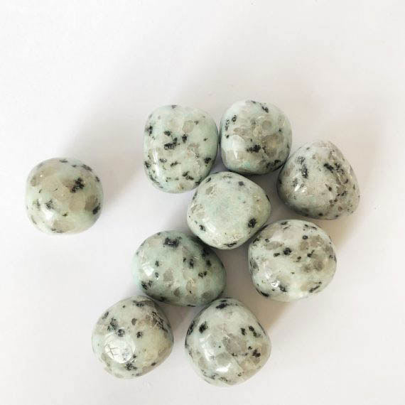 House_Of_Formlab_Kiwi_Jasper_03