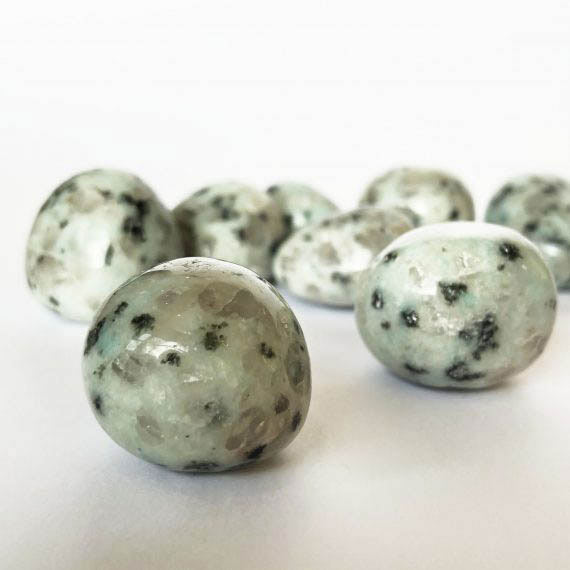 House_Of_Formlab_Kiwi_Jasper_04