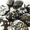 House_Of_Formlab_Snowflake_Obsidian_03