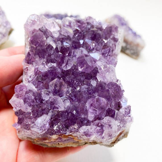 Royal Amethyst Cluster