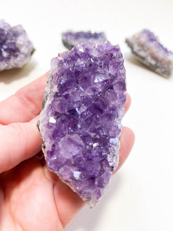 Royal Amethyst Cluster