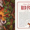 House of Formlab The Illustrated Bestiary by Maia Toll