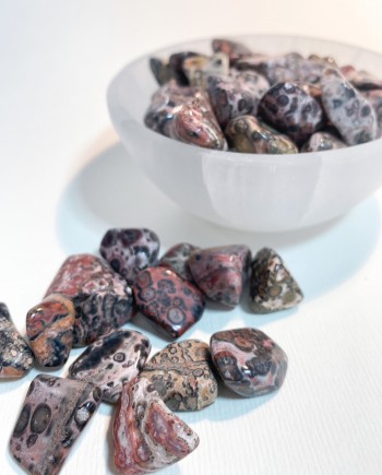 House of Formlab Leopard Skin Jasper Pocket Stones