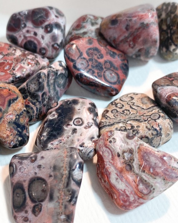 leopard skin jasper pi stone