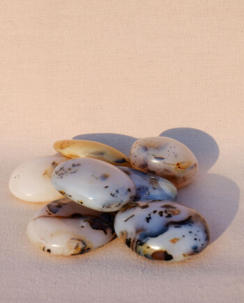 House of Formlab Dendritic Agate Meditation Stones