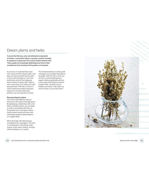 House-of-Formlab-Dreams-by-Tree-Carr-002