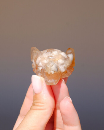 House of Formlab Flower Agate Mini Wolf Totem