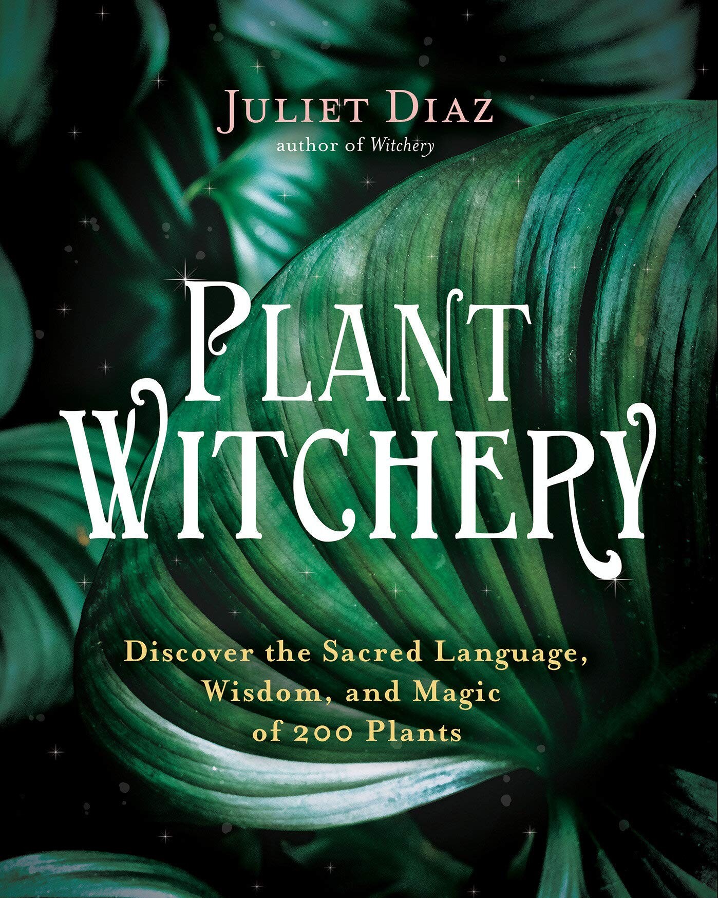 plant witchery juliet diaz