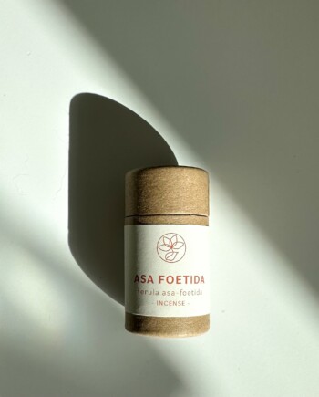Asa Foetida Banishing Powder