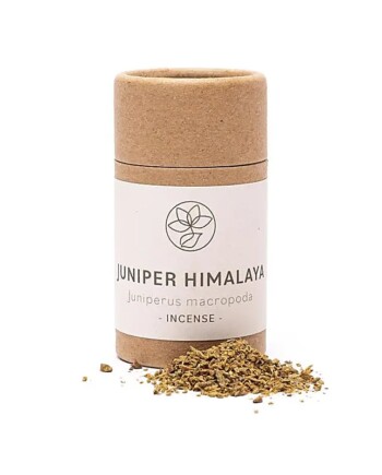 Himalayan Juniper Clear-The-Field