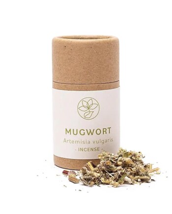 Mugwort | Walk Between Worlds