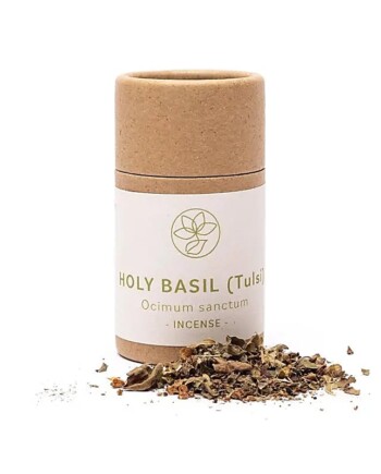 tulsi holy basil