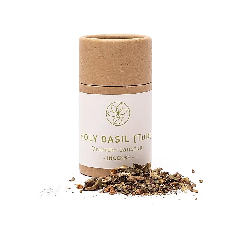tulsi holy basil