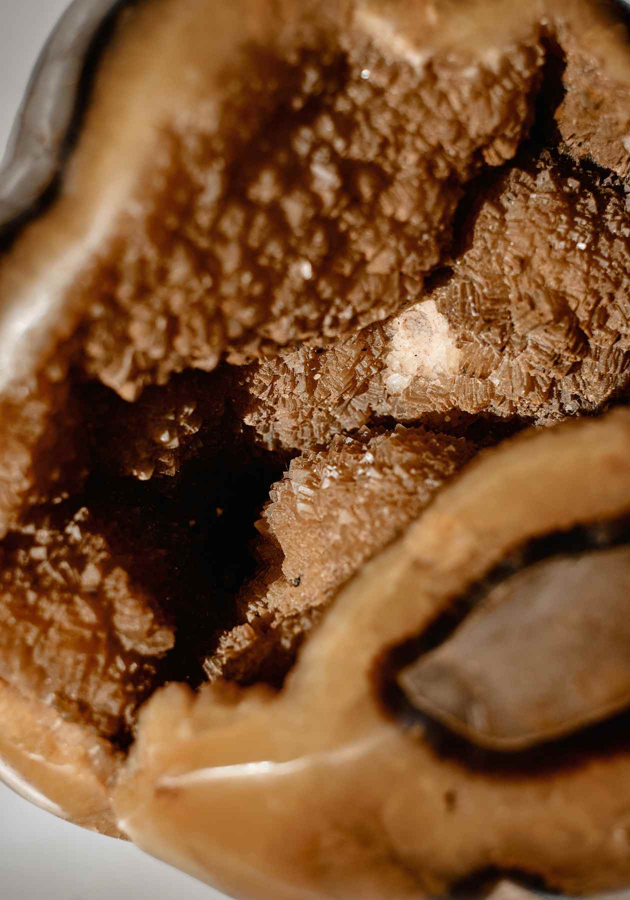 Daughters of the Deep | Septarian